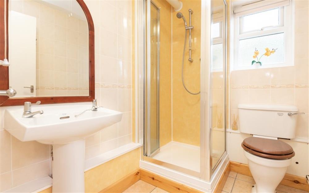 Shower room at Lucerne Apartment in Lyme Regis