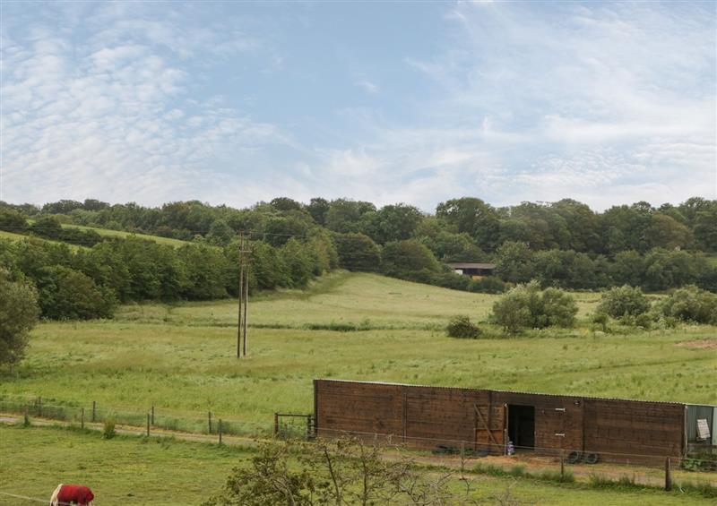 Rural landscape at Lulstead, Nottington near Weymouth