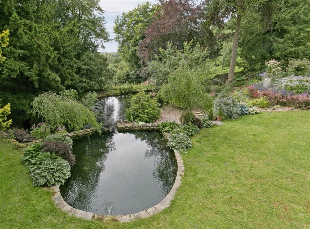 Garden at Lumsdale House in Matlock, Derbyshire
