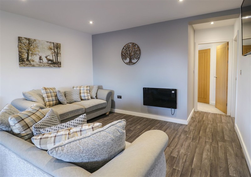 Inside at Luxury Lodge 44, Dyserth
