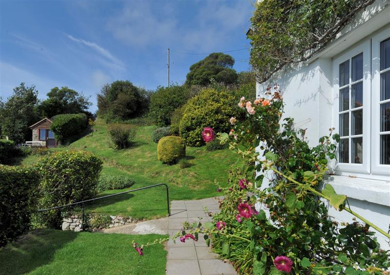 The garden (photo 2) at Lynch Cottage, Lyme Regis