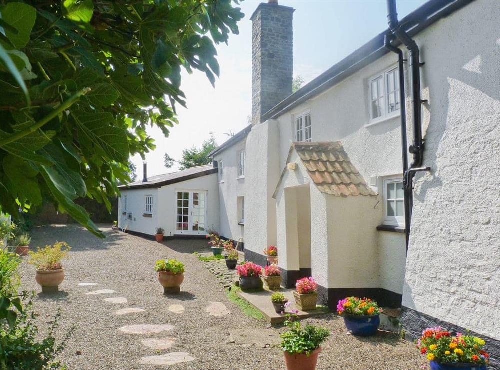 Delightful whitewashed cottage set in tranquil countryside at Lynches in Parkham, near Bideford, Devon