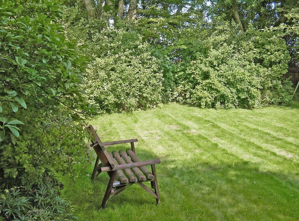 Large garden mainly laid to lawn at Lynches in Parkham, near Bideford, Devon
