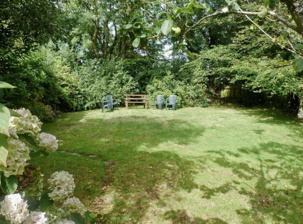 Lovely verdant gardens with attractive planting at Lynches in Parkham, near Bideford, Devon
