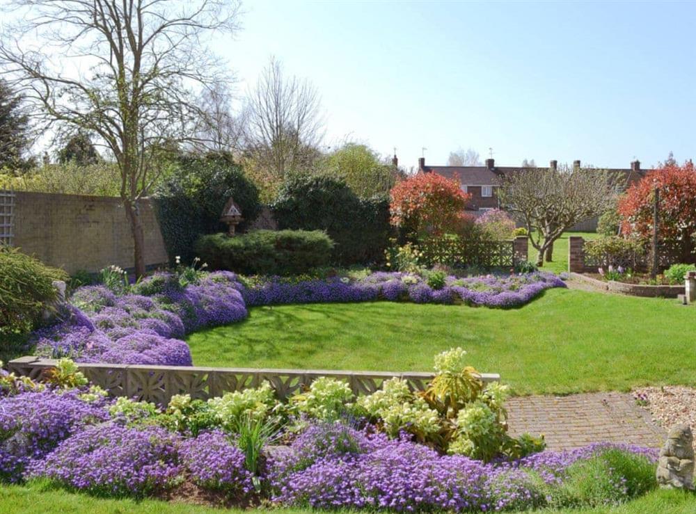 Garden at Lyndhurst in Ely, Cambridgeshire