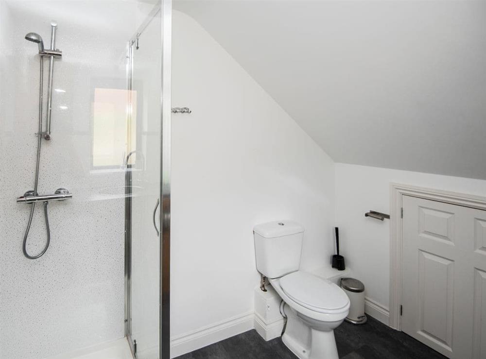 Utility room bathroom at Lyndhurst in Perranporth, Cornwall