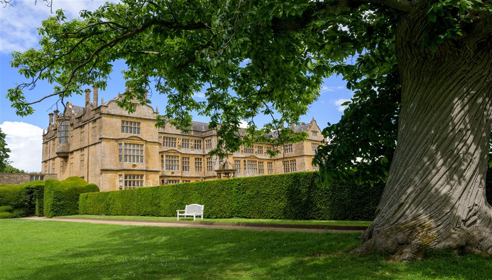 Chestnut tree and cedar lawn at Lytes Cary in Somerton, Somerset