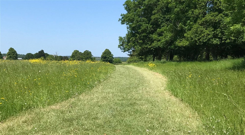 Lytes Cary Estate in spring at Lytes Cary in Somerton, Somerset