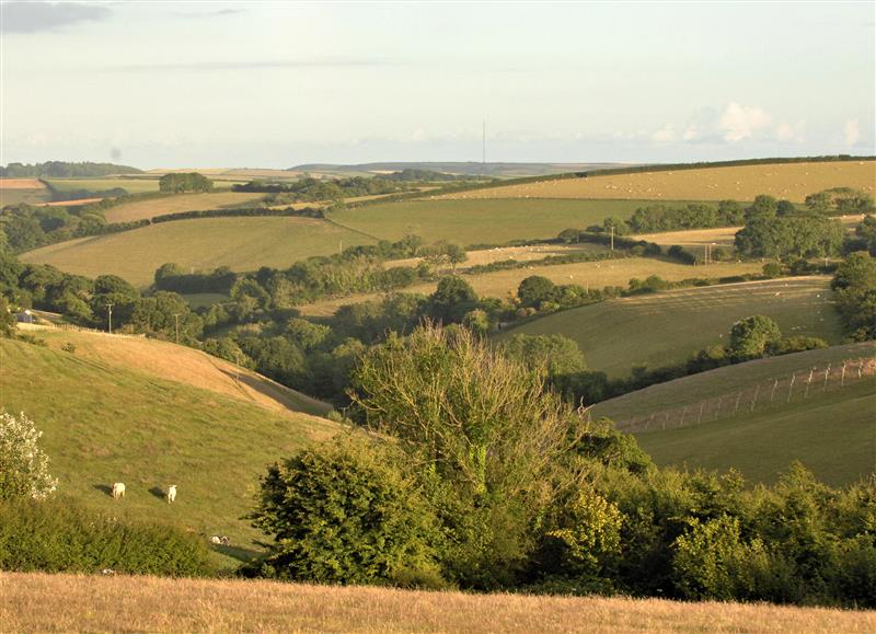 Rural landscape at Mabels View, East Allington