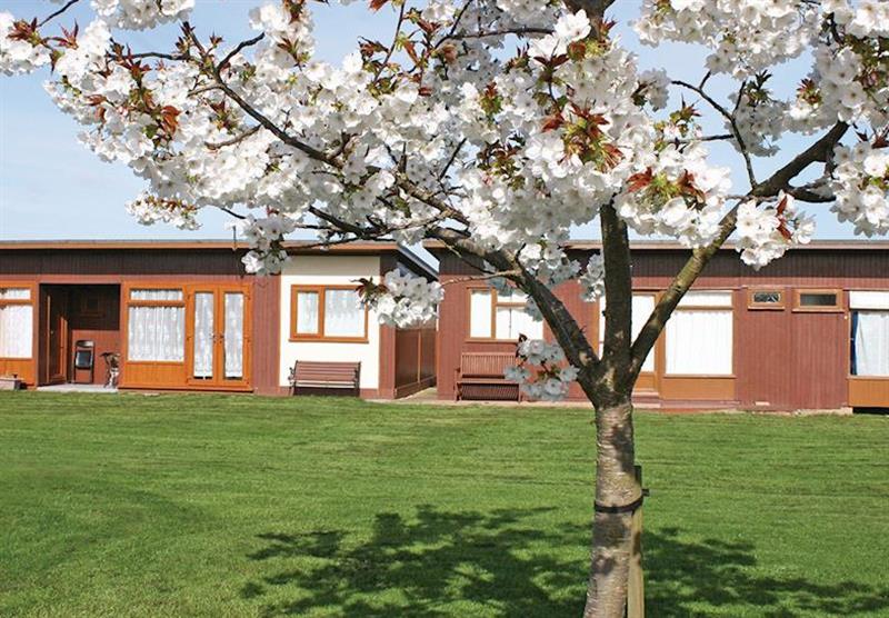 Some of the accommodation at Mablethorpe Chalet Park in Mablethorpe, Lincolnshire 