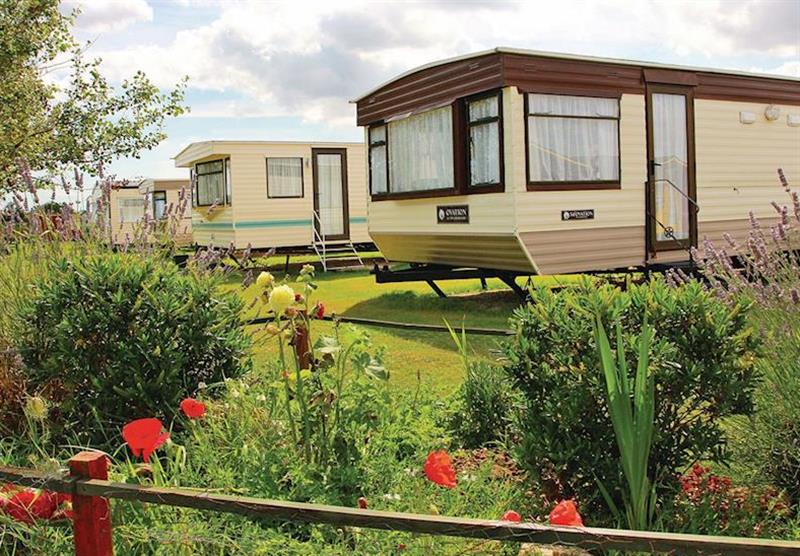 The park setting at Mablethorpe Chalet Park in Mablethorpe, Lincolnshire 