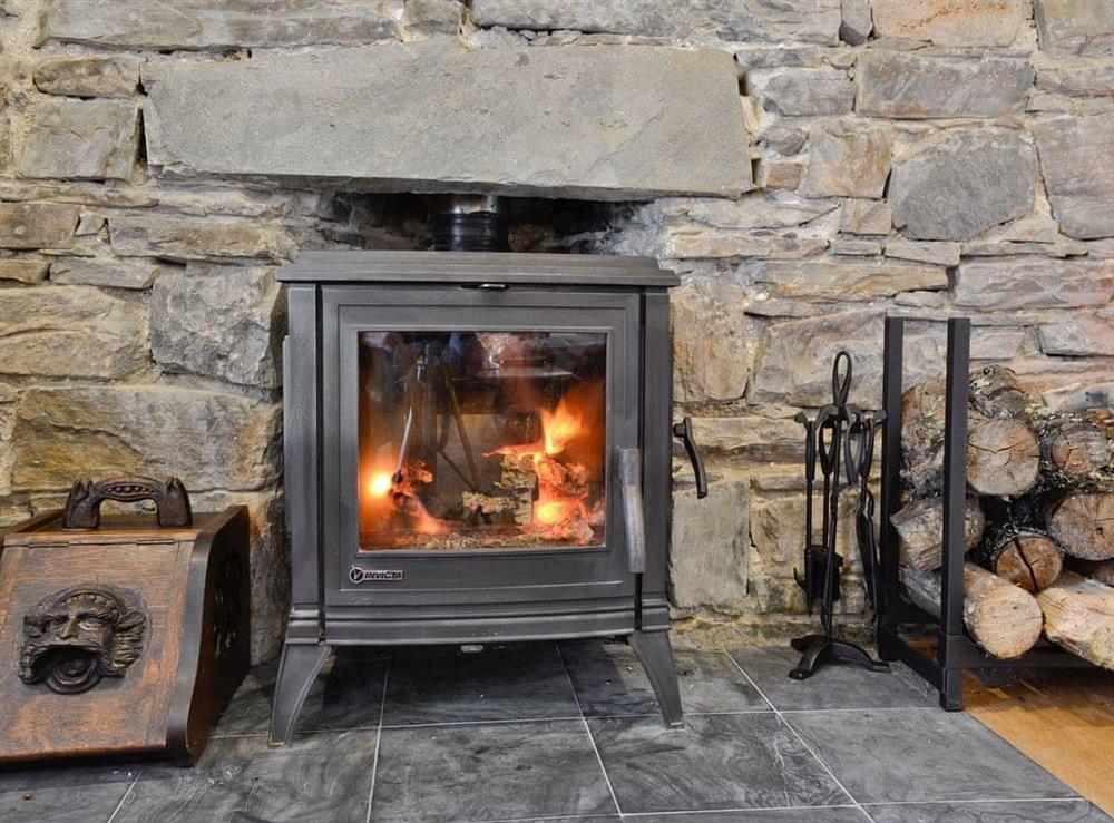 Cosy wood-burning stove