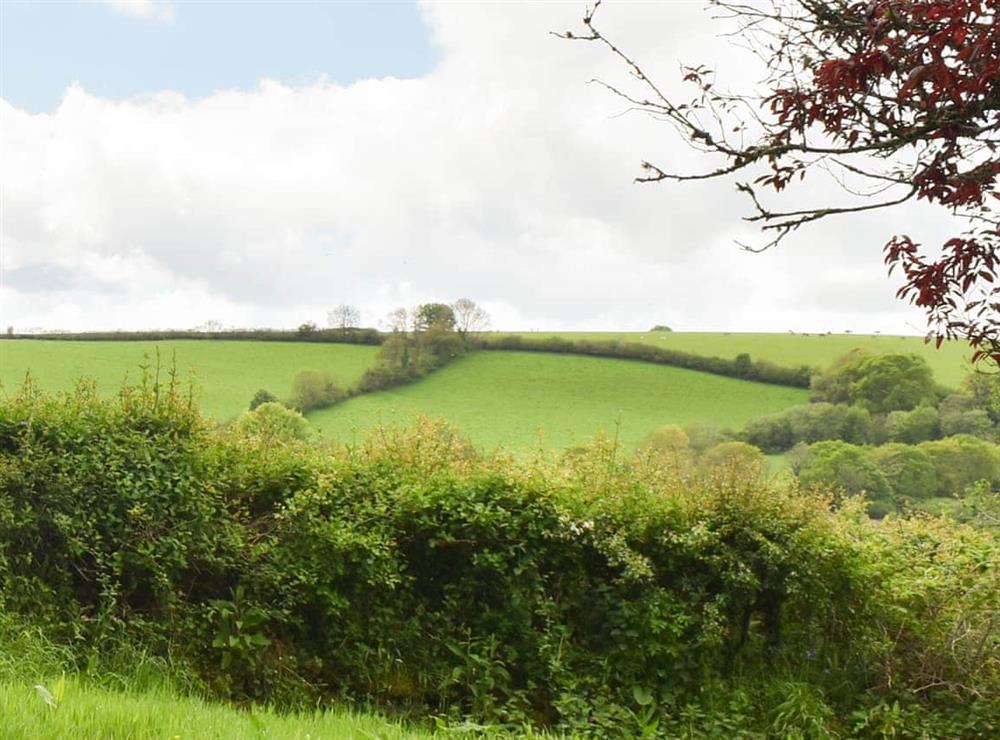 View at Madderhay in Lostwithiel, Cornwall