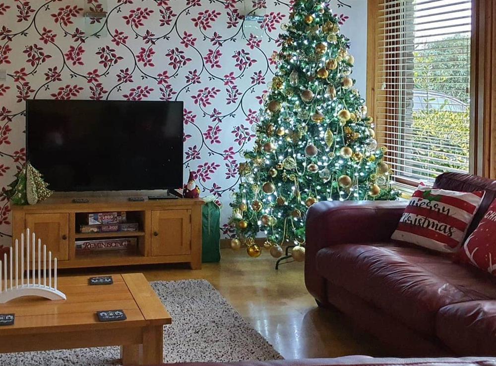 Living room at christmas at Madison in Crackington Haven, near Bude, Cornwall
