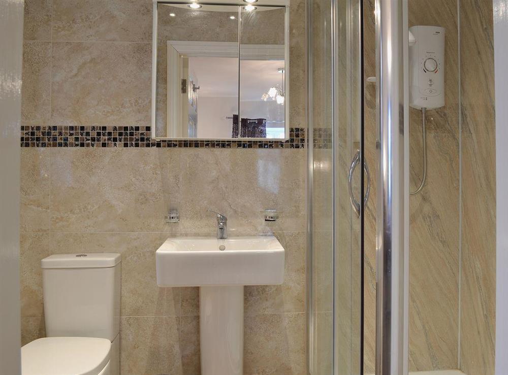 En suite shower room with WC at Maes Rheidol in Aberystwyth, Dyfed