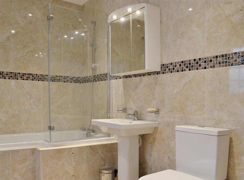 Family bathroom with shower over bath and heated towel rail at Maes Rheidol in Aberystwyth, Dyfed