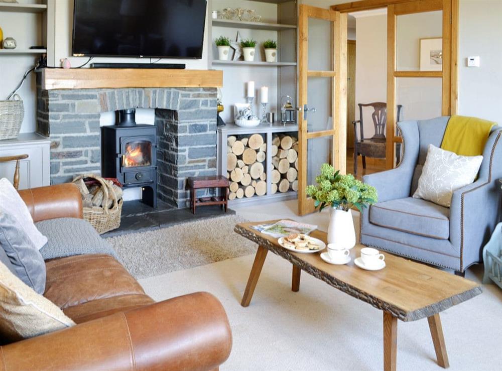 Welcoming living room at Maes Y Bryn Farmhouse in Llansadwrn, near Llandeilo, Dyfed