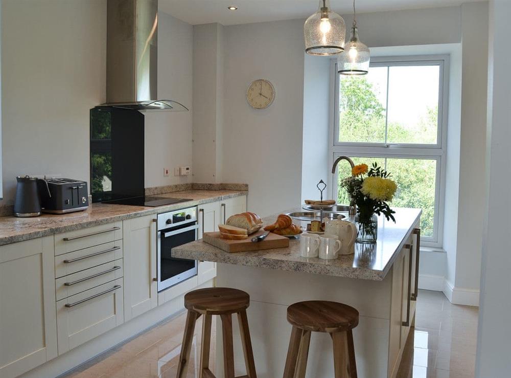 Well equipped modern kitchen at Maes Yr Onnen in Abercych, near Cardigan, Dyfed