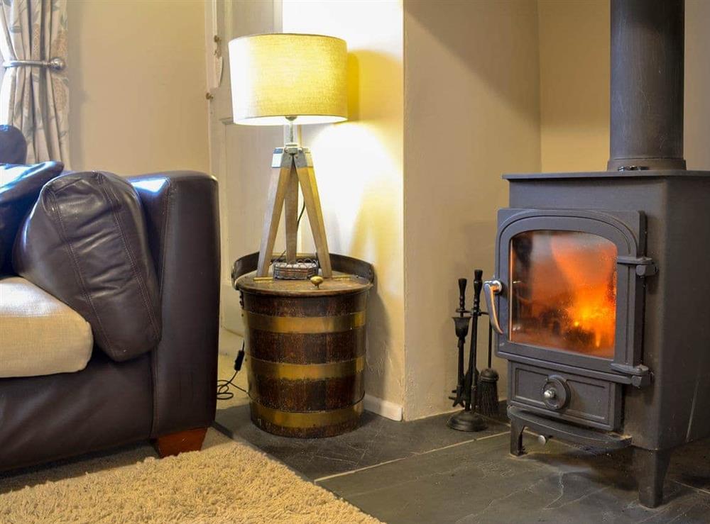 Cosy wood burner at Maggies Den in Gatehouse of Fleet, Dumfries and Galloway, Kirkcudbrightshire