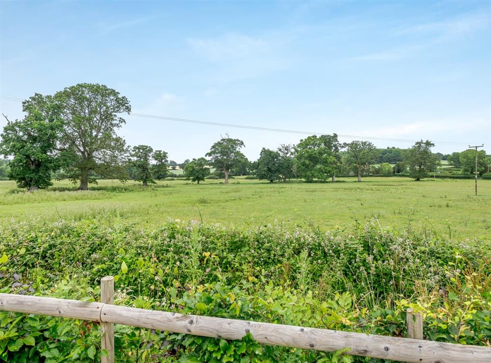Surrounding area at Magpies in Melbury Osmond, near Dorchester, Dorset