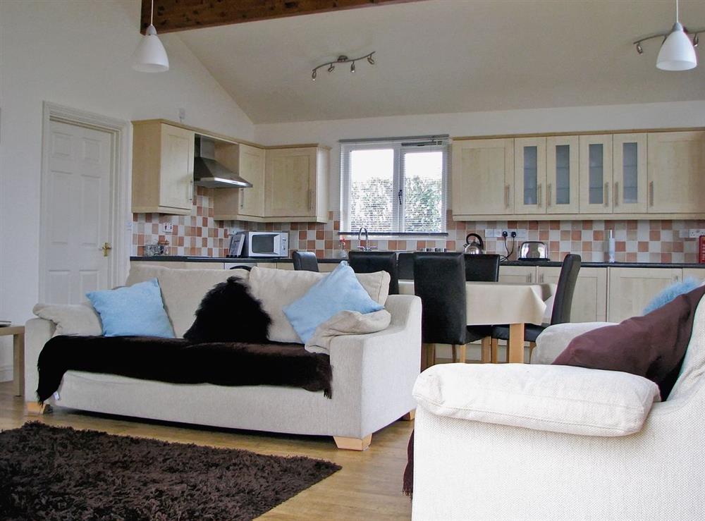 Open plan living/dining room/kitchen at Mahonia Lodge in Morpeth, Northumberland