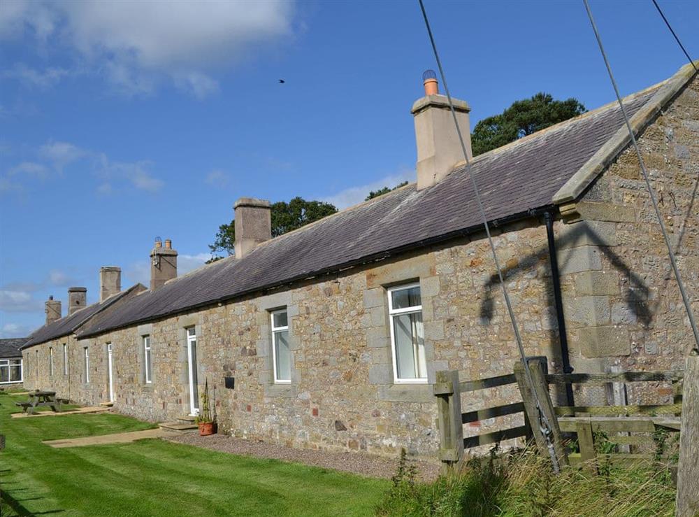 Grassed outdoor space with barbecue at Mains Cottage in Belford, near Bamburgh, Northumberland