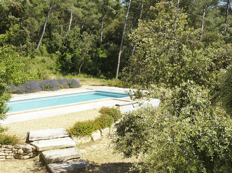 The pool and wooded surroundings at Maison La Montagnette, Avignon, France