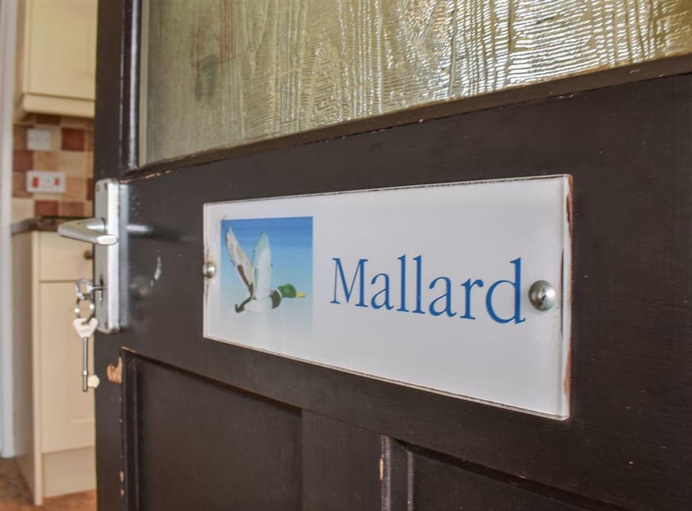 Exterior at Mallard in Brauton, Devon