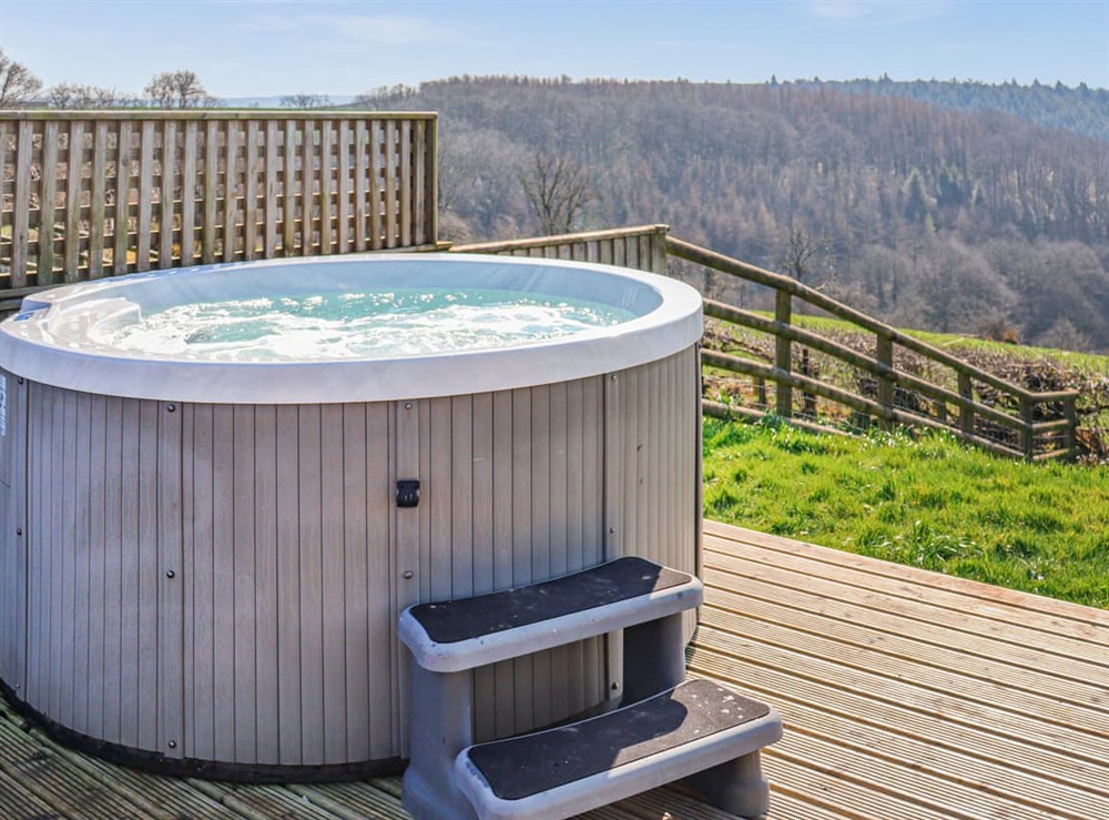Hot tub at Mallard in Carmarthen, Dyfed