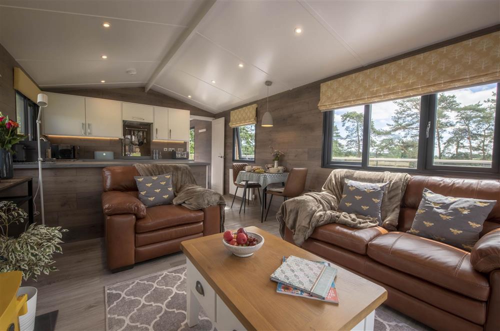 The open-plan sitting, dining and kitchen area at Mallard House Lodge, Nr. Penrith