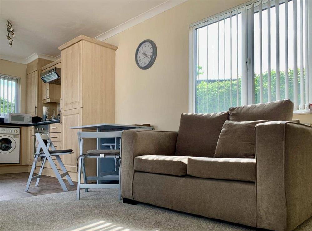 Open plan living space at Mallard Lodge in Hopton-on-Sea, Great Yarmouth, Norfolk