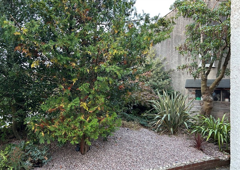 Enjoy the garden at Mallison Cottage, Ashton-Under-Lyne
