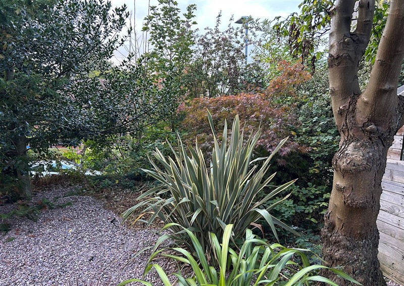 Outside (photo 2) at Mallison Cottage, Ashton-Under-Lyne