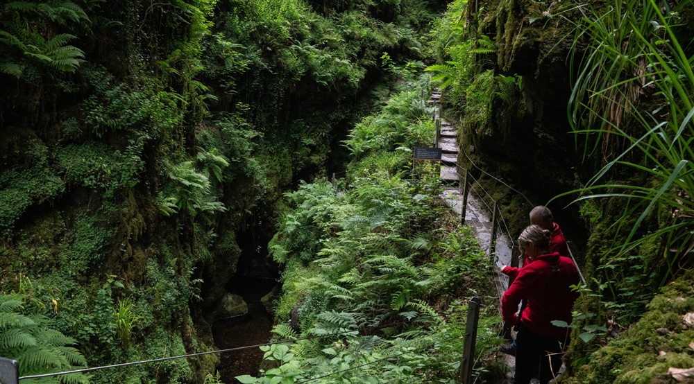 Visitors walking through Lydford Gorge, Devon. This steep-sided river gorge is carved into the western edge of Dartmoor and surrounded by ancient oak woodland, abundant with wildlife. at Malt House in Saltash, Cornwall