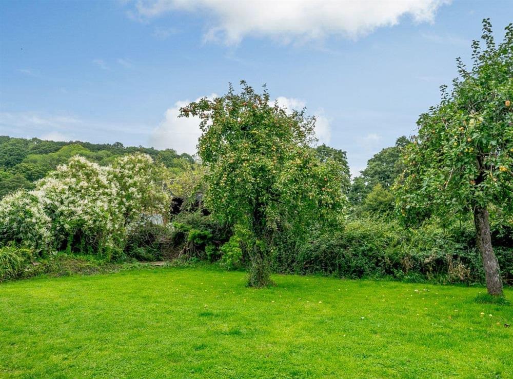 Garden (photo 3) at Malt House in Skenfrith, near Monmouth, Gwent
