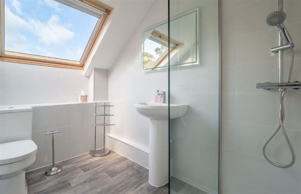 En-suite shower room with walk-in shower, wash basin and WC at Maltings Lodge, Chelsworth