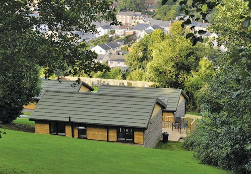 Chalet setting at Manleigh Park in Combe Martin, Devon