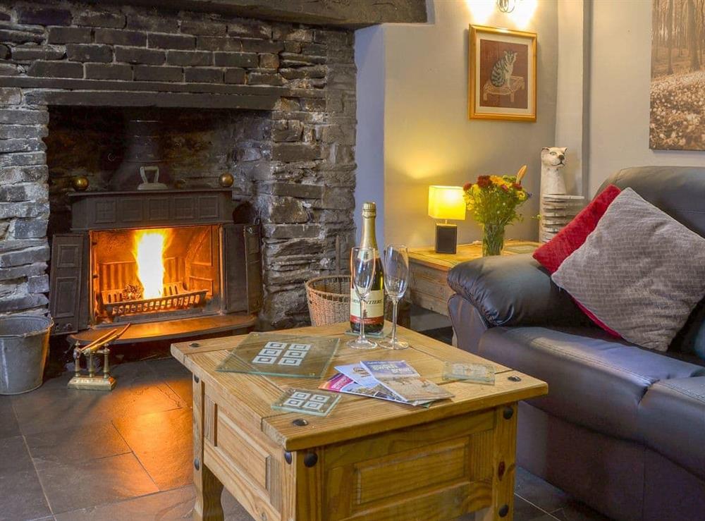 Warm and cosy wood burner at Manod in Blaenau Ffestiniog, Gwynedd