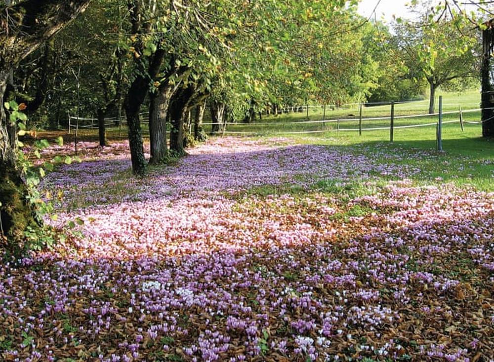 Outdoor area at Manoir de Mombette in C&eacute;nac, Dordogne, France