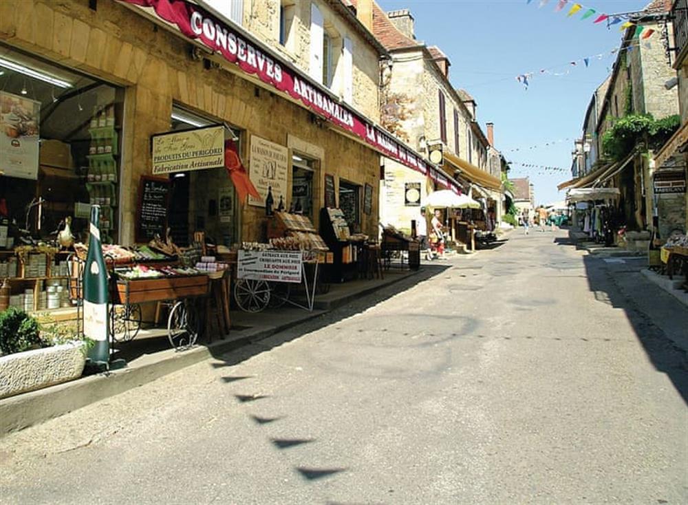 Surrounding area (photo 4) at Manoir de Mombette in C&eacute;nac, Dordogne, France