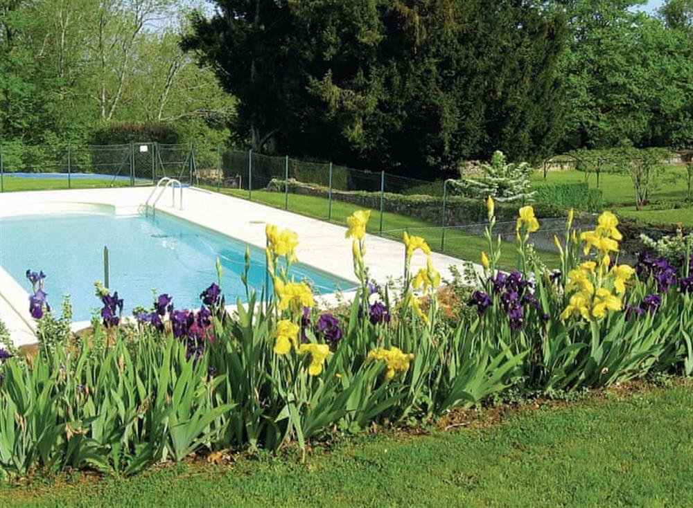 Swimming pool (photo 3) at Manoir de Mombette in C&eacute;nac, Dordogne, France