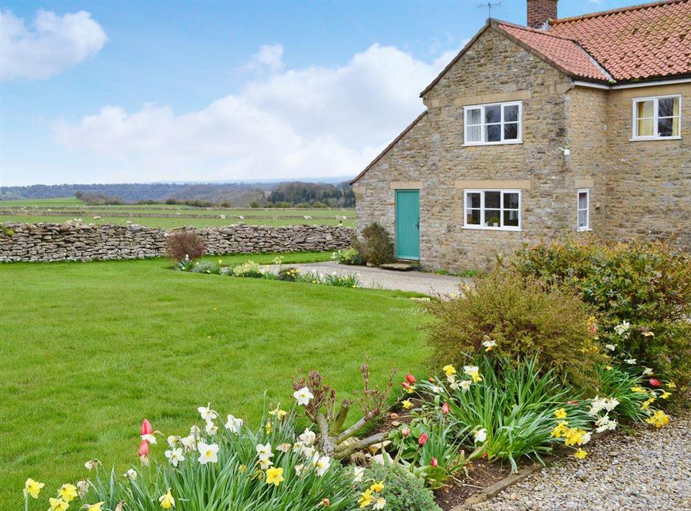 Wonderful stone house with large garden at Manor Cottage in Old Byland, near Helmsley, North Yorkshire