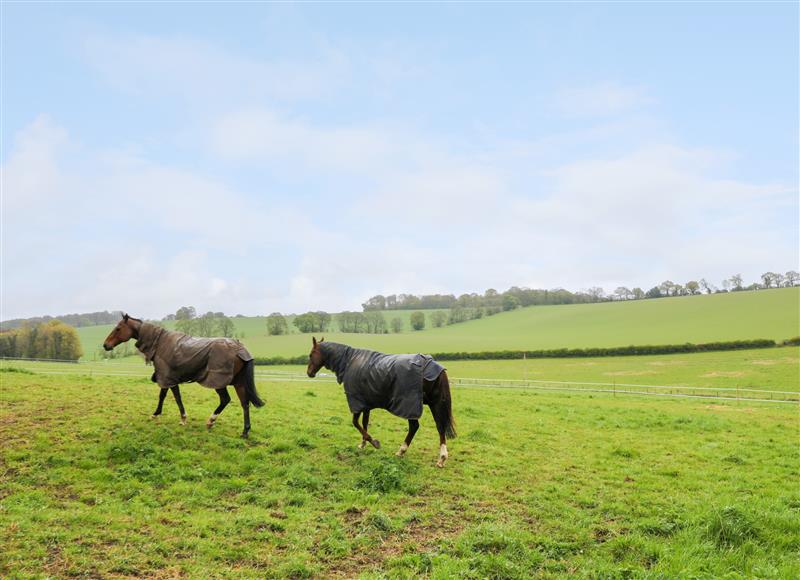 Rural landscape