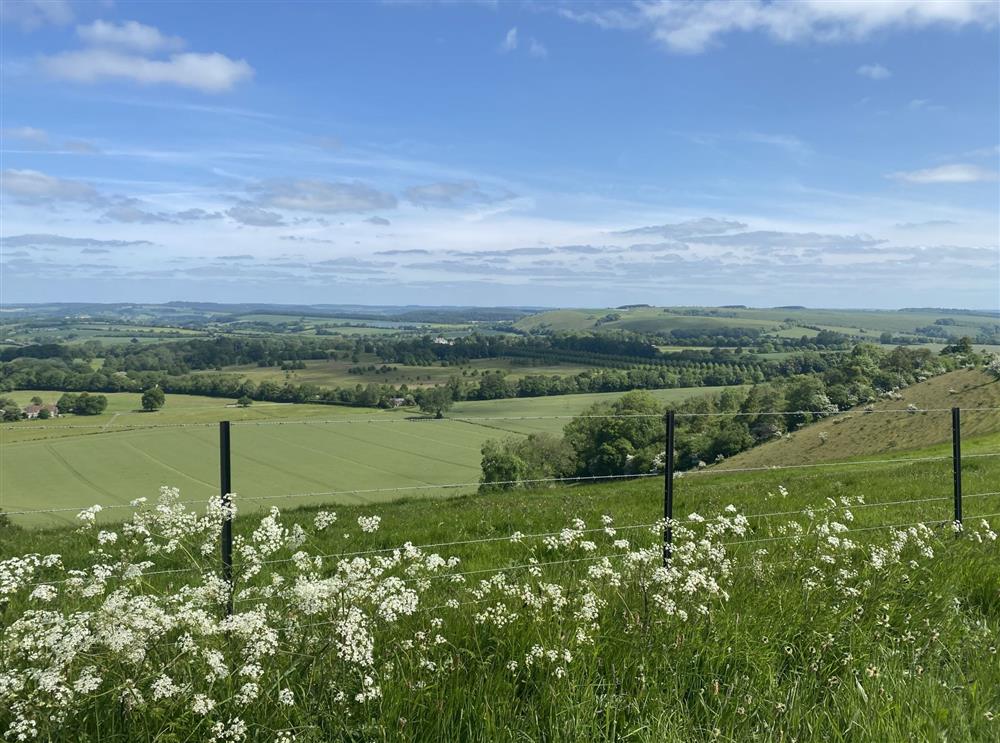 Explore the stunning chalk hills and nearby pretty villages of The Deverills