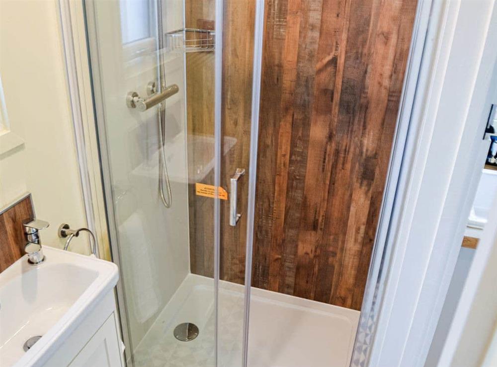 Shower room (photo 2) at Chestnut, 