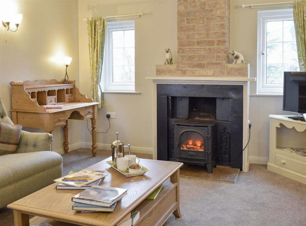Attractive living room with wood burner at Manor House Cottage in Holme on Swale, near Thirsk, North Yorkshire