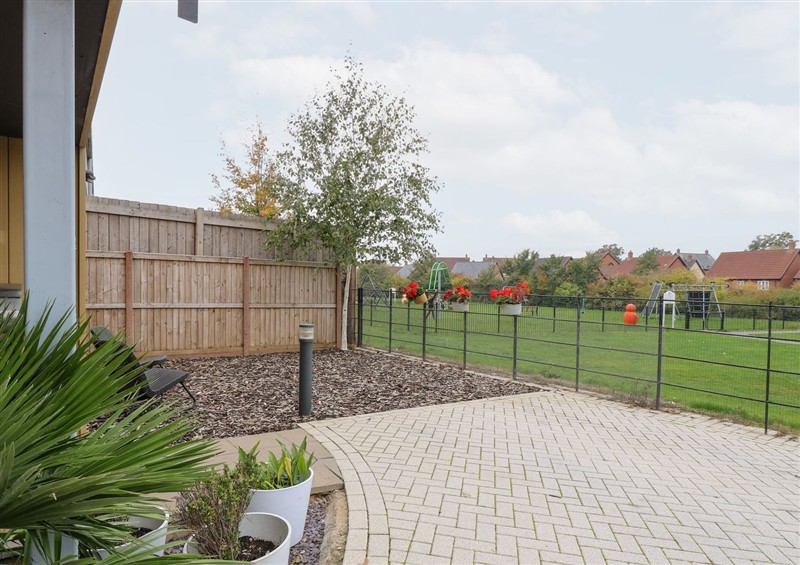The garden at Manor Park View, Norwich