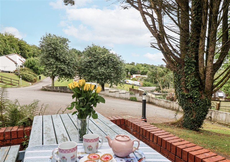 Enjoy the garden at Manorcombe 21, Honicombe Holiday Village near Gunnislake
