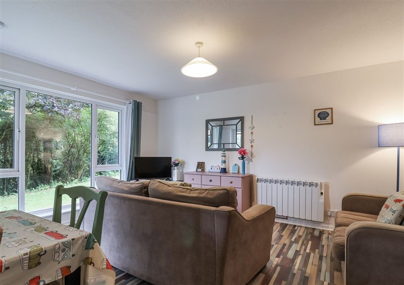 The living room at Manorcombe 21, Honicombe Holiday Village near Gunnislake