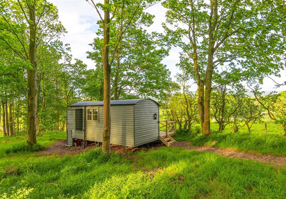 Maple Retreat, Penrith, Cumbria is surrounded by the beauty of nature